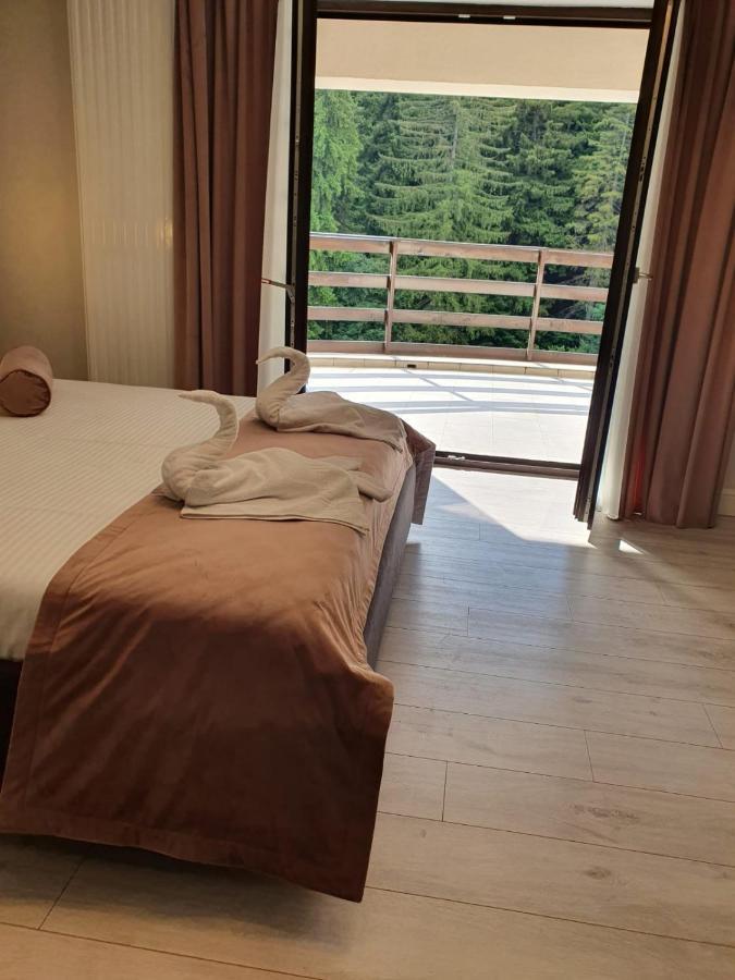 Apartament Ozon Пояна-Брашов Экстерьер фото