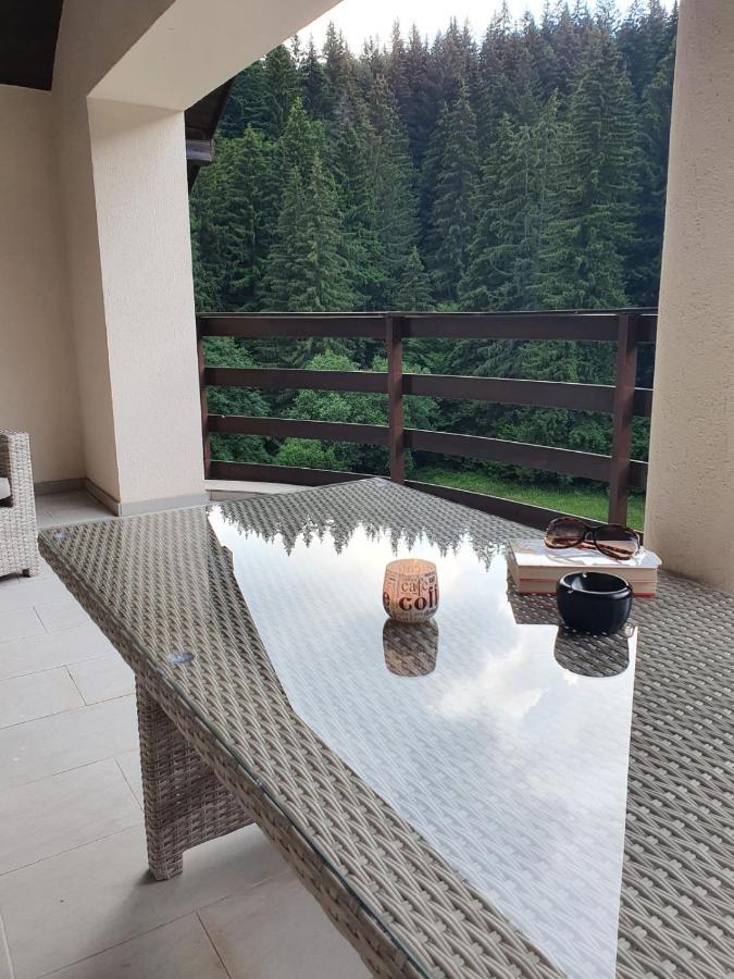 Apartament Ozon Пояна-Брашов Экстерьер фото