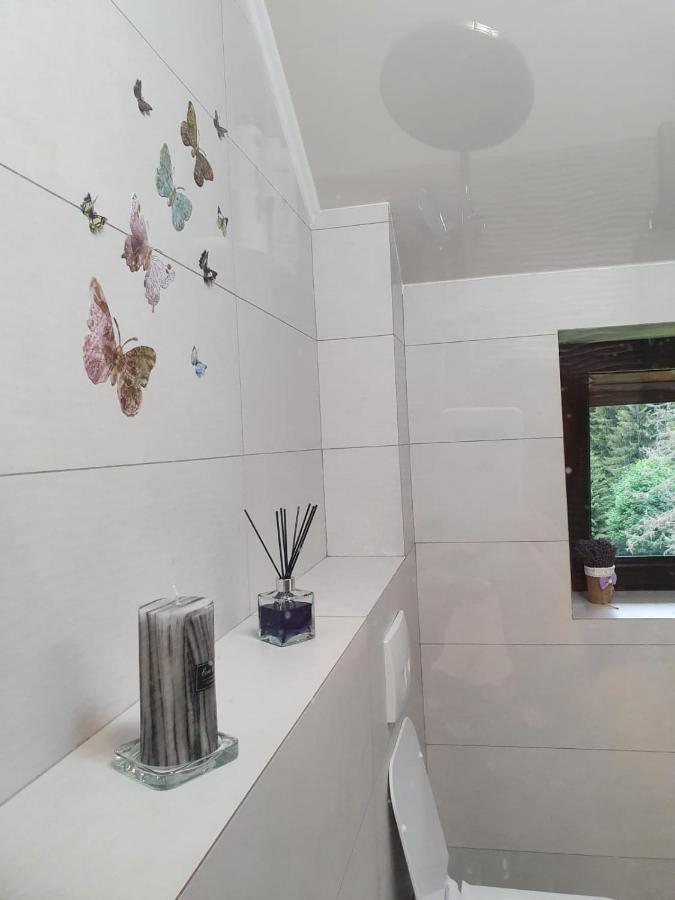 Apartament Ozon Пояна-Брашов Экстерьер фото
