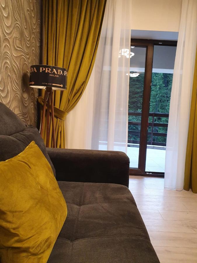 Apartament Ozon Пояна-Брашов Экстерьер фото