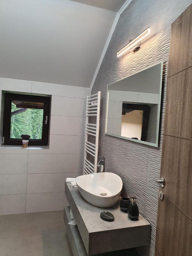 Apartament Ozon Пояна-Брашов Экстерьер фото