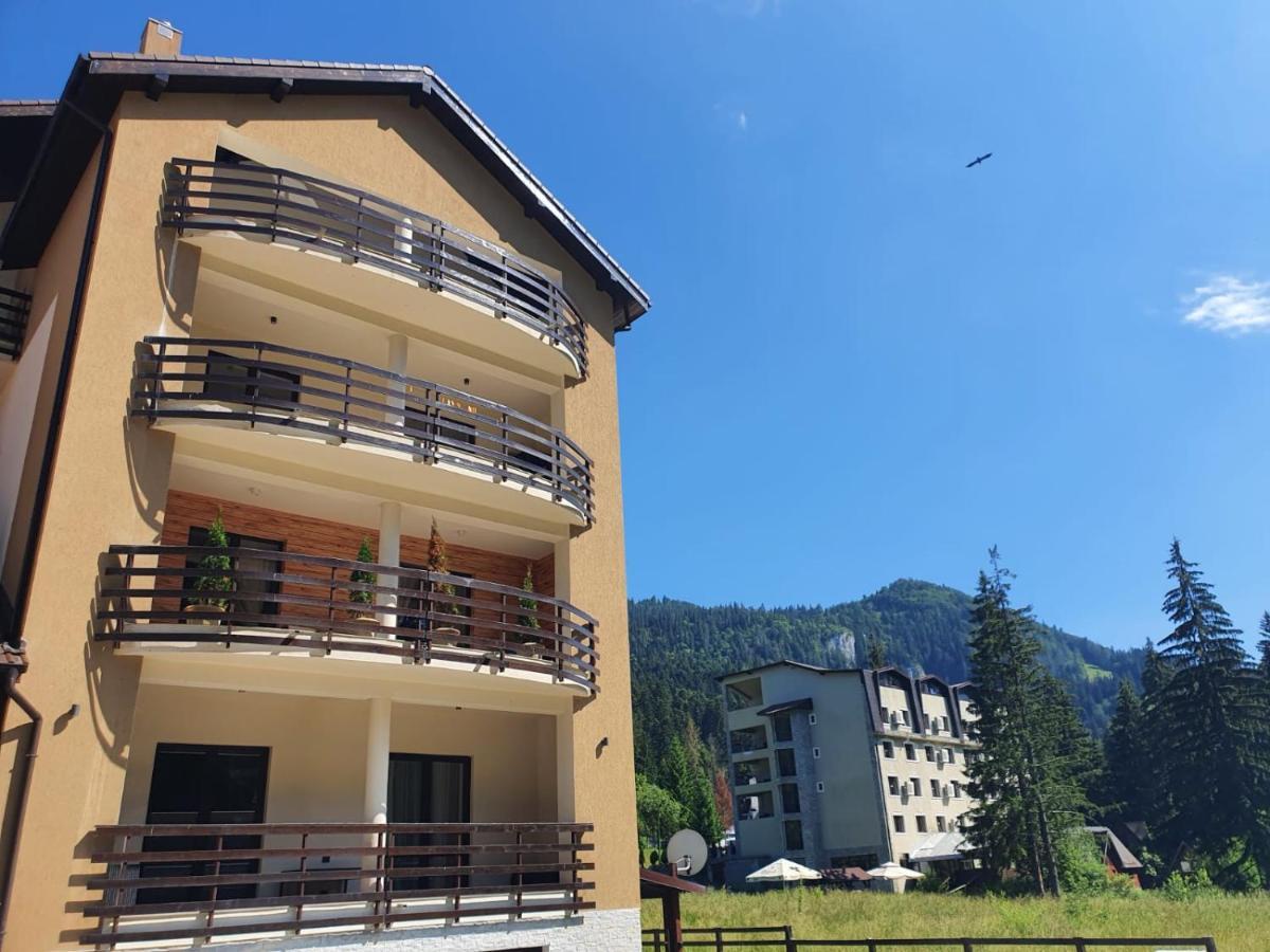 Apartament Ozon Пояна-Брашов Экстерьер фото