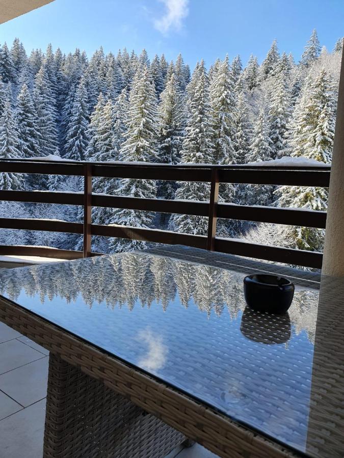 Apartament Ozon Пояна-Брашов Экстерьер фото