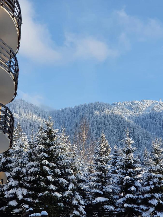 Apartament Ozon Пояна-Брашов Экстерьер фото